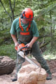 Click to see it big Ich mit Kettensäge, Impression aus dem Wald